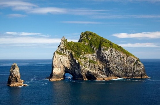Bay of Islands Day Tour: Hole in the Rock Dolphin Cruise + Waitangi  - Auckland Return